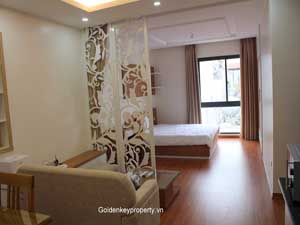 Two cozy bedrooms apartment in Kim Ma street Hanoi