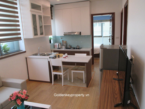 2 bedroom in Ba Dinh district, Hanoi apartment for rent, 65 sqm